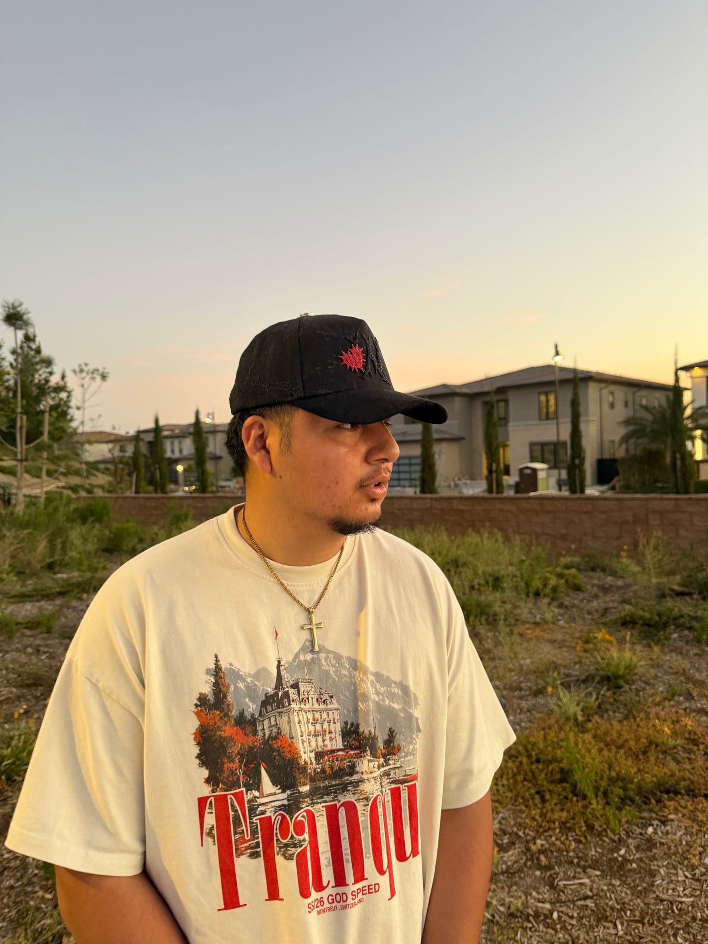 Switzerland T-shirt